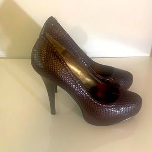 Wine FLAASH pumps by Steve Madden. 7.5.